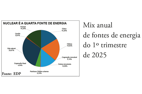 Energia nuclear garante 14,2% do consumo elétrico em Portugal